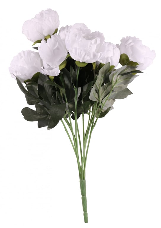 White King Peony Bunch - Fresh Garden Flowers Bouquet for Home Decor and Wedding Arrangements