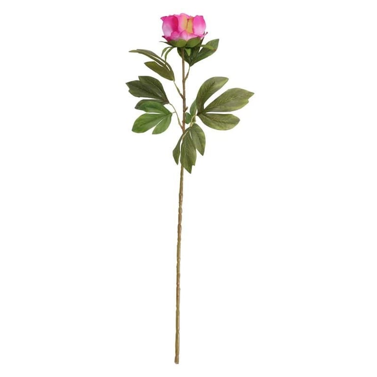 Cerise Peony Floral Arrangement for Home Decor and Garden Design