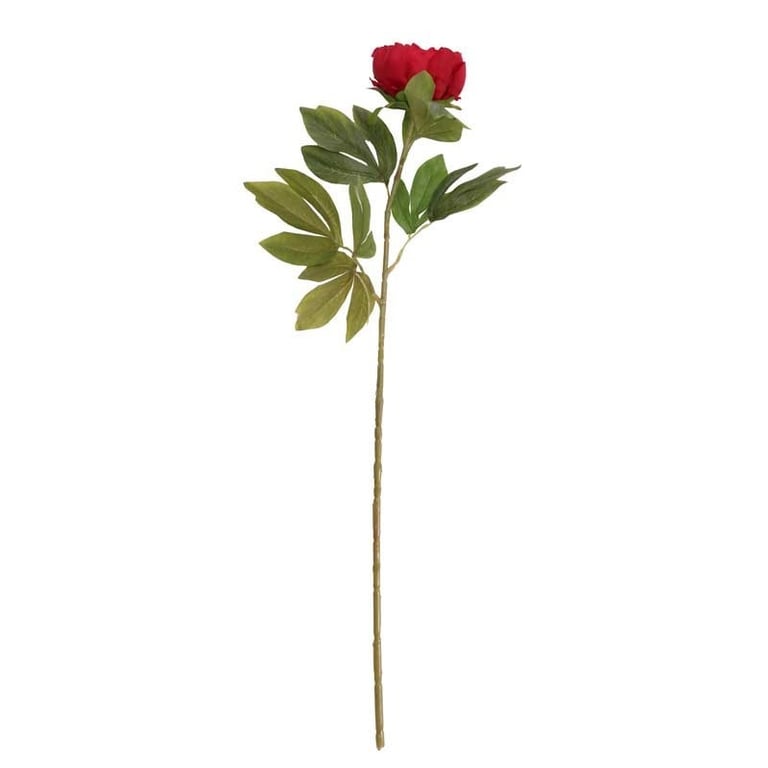 Peony Red - Vibrant Red Peony Flower Bouquet for Home Decor and Garden Planting