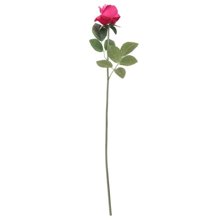 Arundel Rose Bud Fuchsia - Elegant Floral Home Decor Item with Fuchsia and Rose Accents