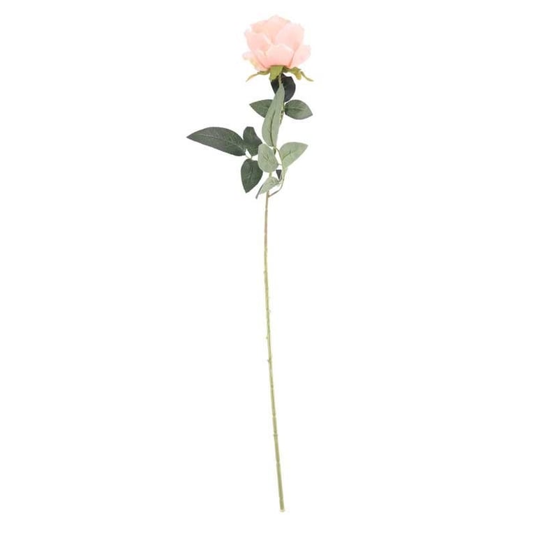 Arundel Rose Peach Luxury Floral Decor for Home and Garden