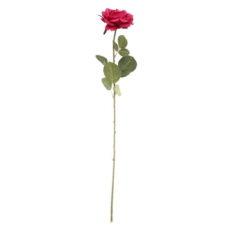 Arundel Open Rose Fuchsia Floral Home Decor Accent - Garden Roses Interior Decoration