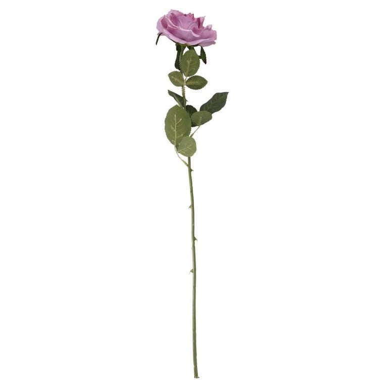 Arundel Open Rose Lavender Home Fragrance Candle - Floral Aromatherapy and Garden Fresh Scented Candles