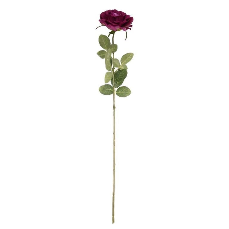 Arundel Open Rose Mauve Floral Home Decor Accent Wall Hanging