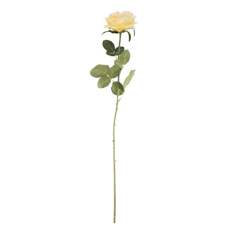 Arundel Open Rose Yellow - Vibrant Yellow Flowers Perfect for Home Decor and Garden Furniture