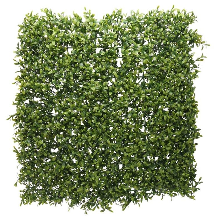 Green Plant Wall - Indoor Green Wall Decor for Home and Garden