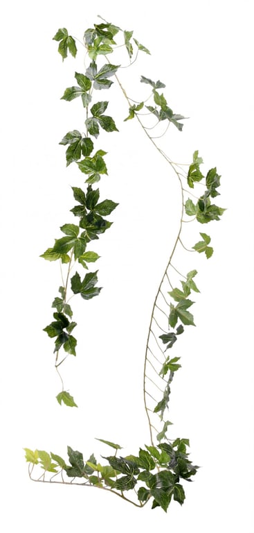 2m Green Vine Garland - Perfect Home Decor and Wedding Decoration Accents