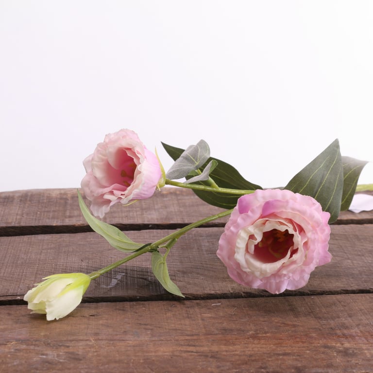 Lilac Lisianthus Flower Spray - Fresh Cut Garden Blooms for Home Decor