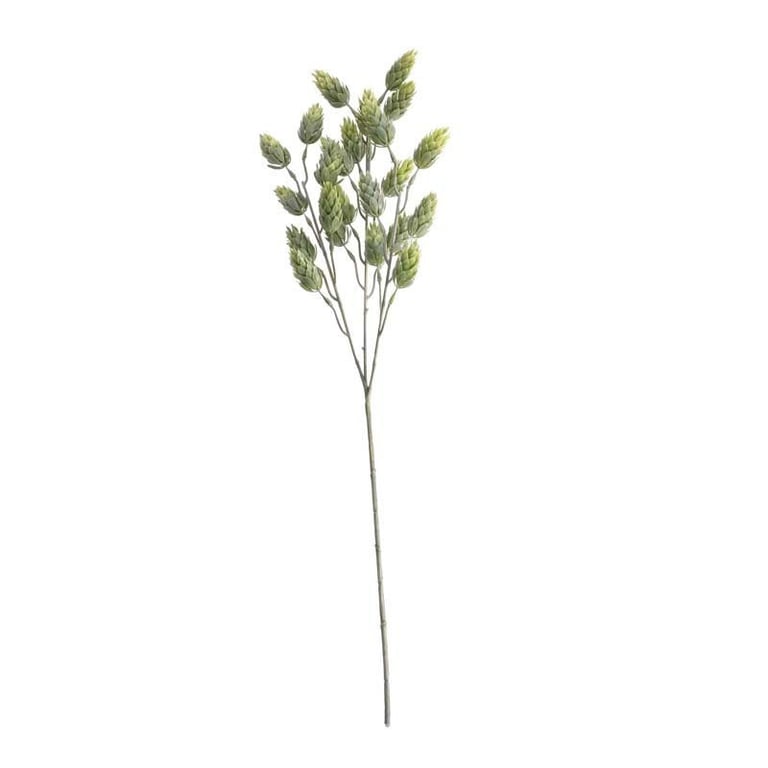 Hops Spray Green 60cm - Indoor Air Freshener and Home Decor Plant