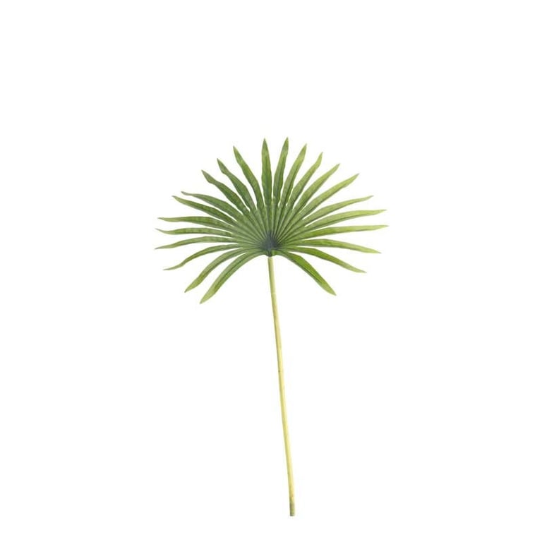 Real Touch Palm Leaf Green Wall Decor 50cm - Indoor Plant Art for Home Garden Decoration