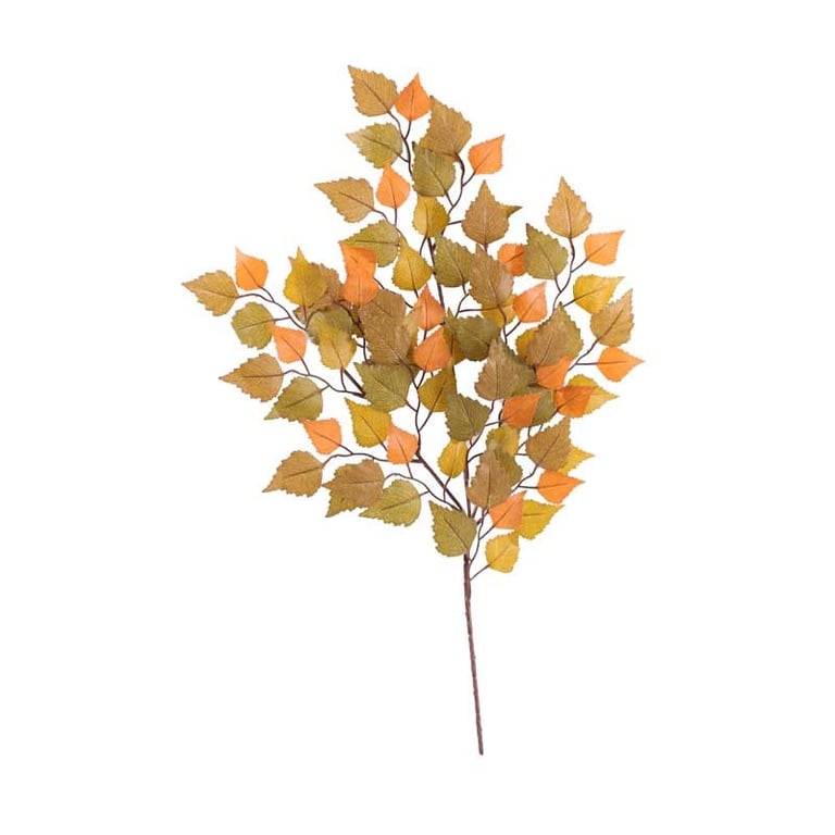 Birch Spray Orange/Brown - Natural Wood Finish for Home & Garden Furniture