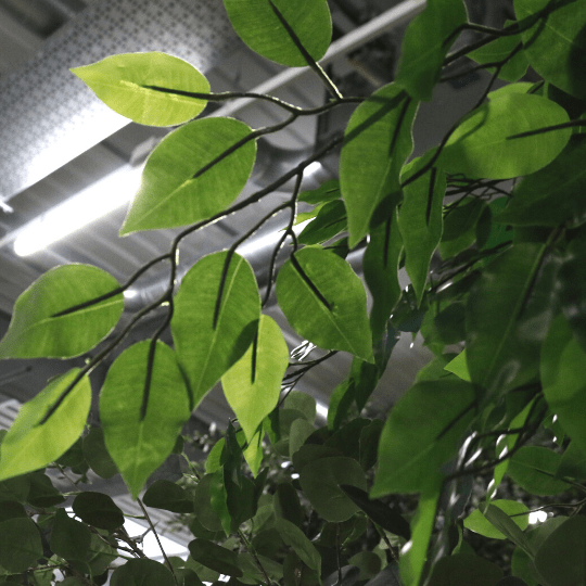 Artificial Green Tree (3.1m) - Home & Garden Decor, Indoor Plant Stand, and Living Room Greenery Solution