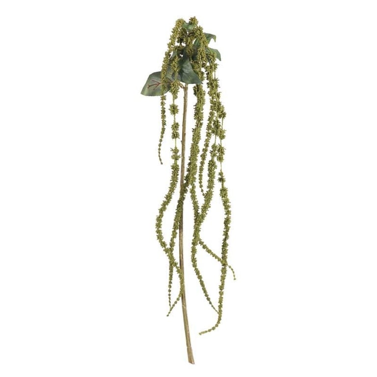 Green Amaranthus 26inch - Vibrant Home Decor Plant for Indoor Greenery