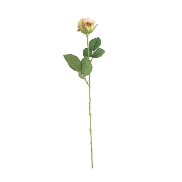 Buckingham Rose Light Pink Floral Home Decoration Garden Ornament
