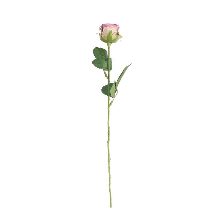 Buckingham Rose Lavender Essential Oil - Natural Fragrance for Relaxing Bath and Body Care