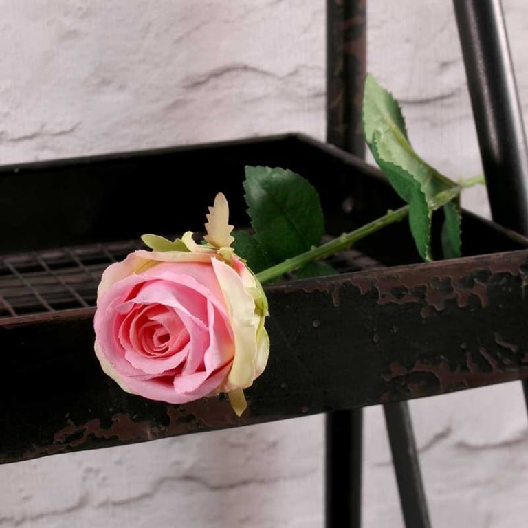 Buckingham Rose Pink Premium Floral Bouquet - Fresh Garden Roses Gift for Home Decor