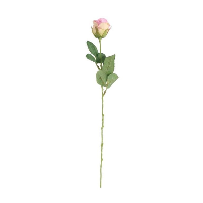 Buckingham Rose Pink Premium Floral Bouquet - Fresh Garden Roses Gift for Home Decor