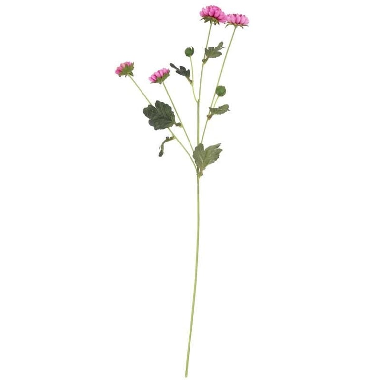 Buckingham Spray Chrysanthemum Purple - Vibrant Fall Garden Decorations and Home Accents