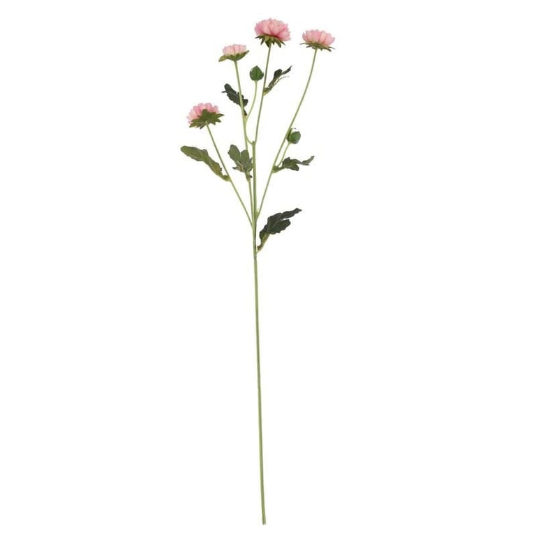 Buckingham Spray Chrysanthemum - Fragrant Pink Flower Spray for Home Decor and Garden Decoration