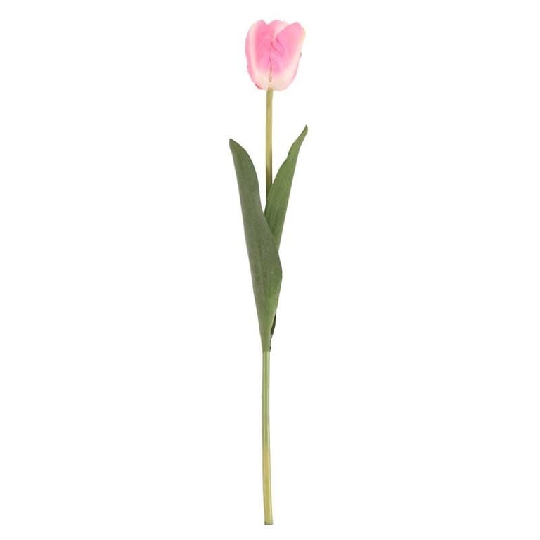 Tulip Pink - Beautiful Indoor Flower Arrangement for Home Decor