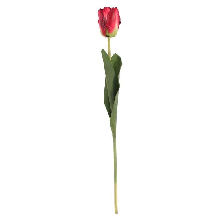 Red Tulip Flowers - Vibrant Spring Blooms for Home Garden Decorations