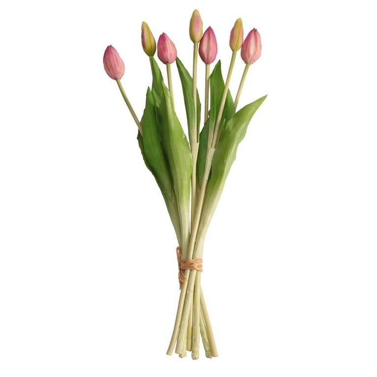 Real Feel Light Purple Tulip Bunch - Fresh Home Garden Flowers for Spring Arrangements