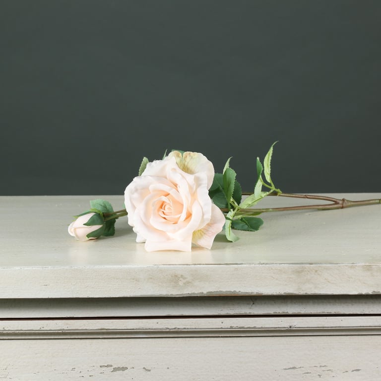 Tintagel Spray Rose Cream - Anti-Aging Face Moisturizer for Glowing Hydrated Skin with Rose Fragrance Skincare Benefits