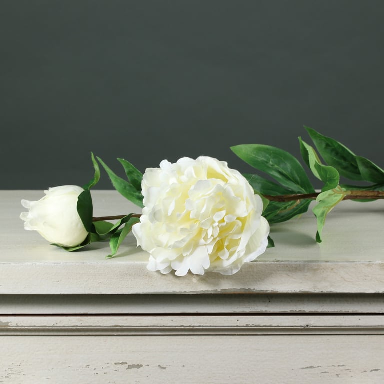 Tintagel Spray Peony Cream - Hydrating Floral Skincare Moisturizer