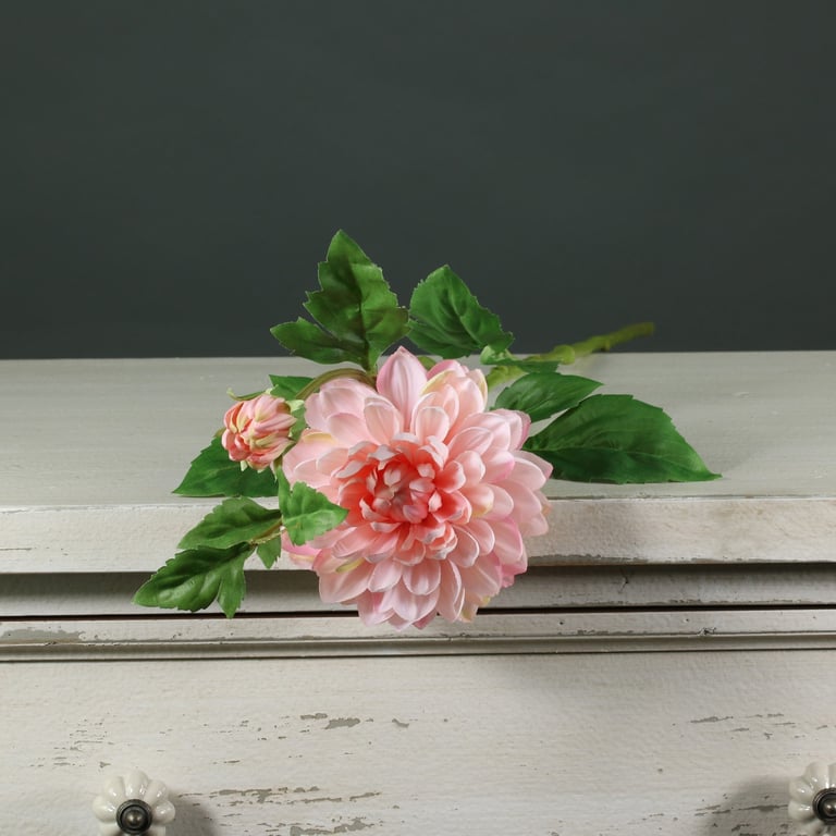 Tintagel Spray Dahlia Light Pink - Floral Garden Decoration with Real Light Pink Flowers