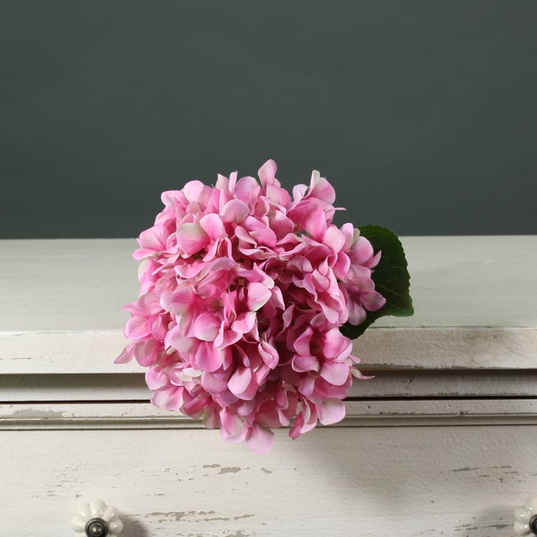 Tintagel Pink Hydrangea - Vibrant Garden Flower for Beautiful Floral Arrangements and Home Decoration
