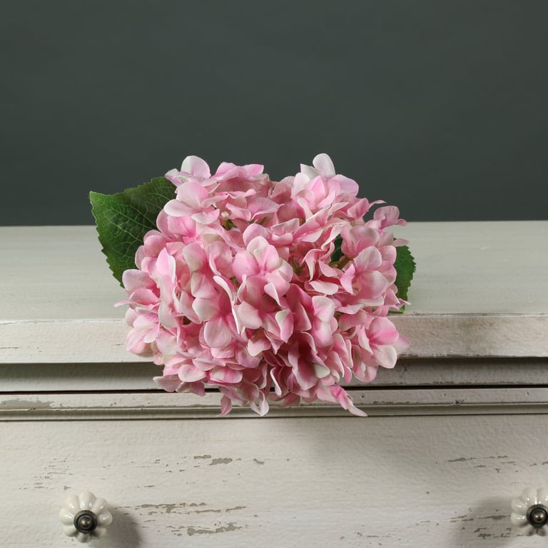 Tintagel Hydrangea Light Pink - Fresh Long-Lasting Garden Flowers for Home Decor