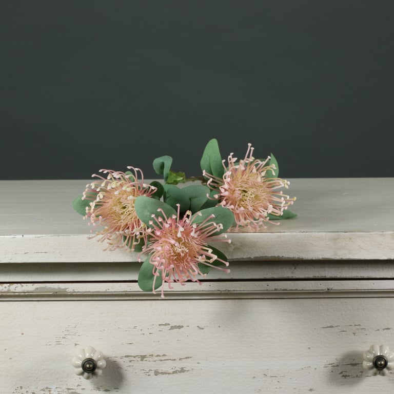 Tintagel Leucospermum Pink - Vibrant South African Ornamental Flowers for Your Garden