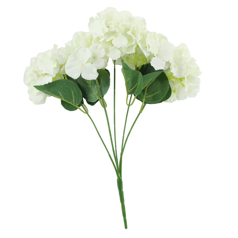Arundel Hydrangea Bush - Vibrant Blooms for Home Gardening