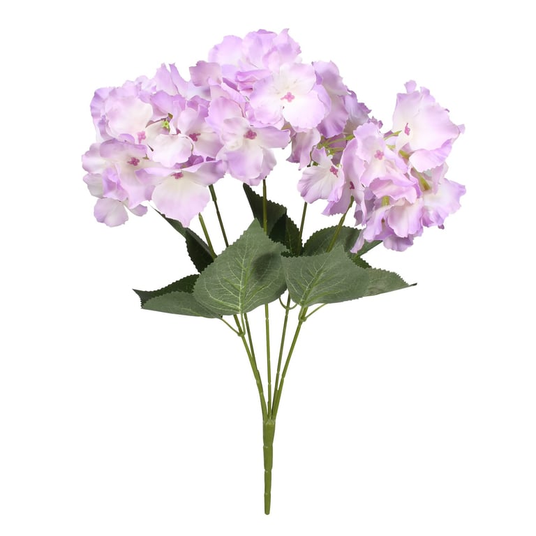 Lavender Arundel Hydrangea Bush - Drought-Tolerant Perennial Garden Plant for Outdoor Landscaping