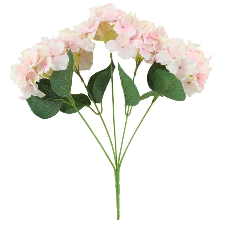 Pink Arundel Hydrangea Bush - Vibrant Pink Flowers in a Compact Garden Plant for Outdoor Spaces