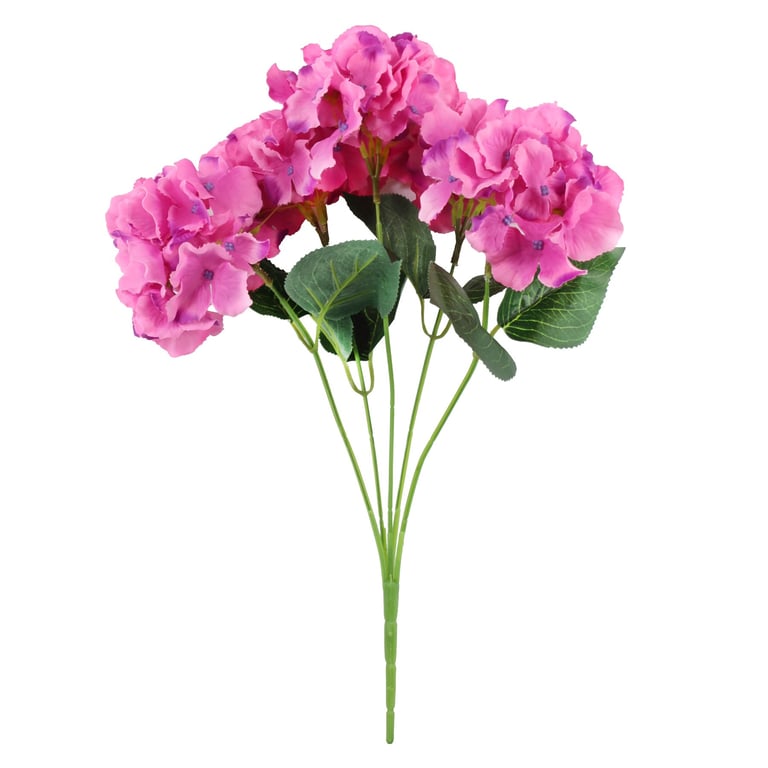 Cerise Arundel Hydrangea Bush - Vibrant Pink Blooms in a Compact Outdoor Garden Shrub