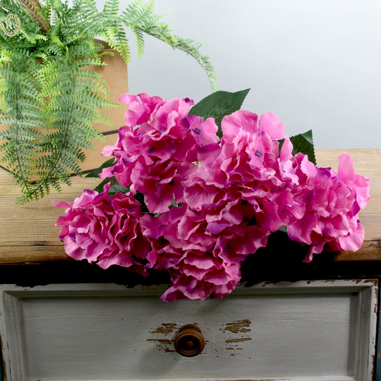 Cerise Arundel Hydrangea Bush - Vibrant Pink Blooms in a Compact Outdoor Garden Shrub