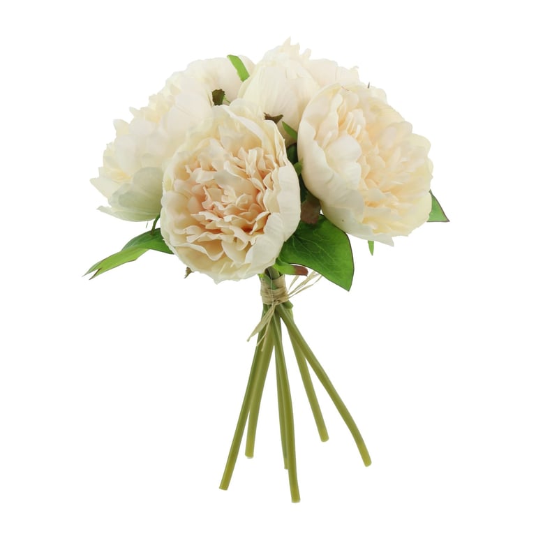 Lemon Arundel Peony Bouquet - Fresh Cut Garden Flowers for Home Decor and Floral Arrangement