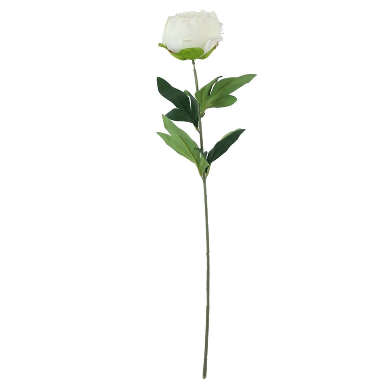 Ivory Arundel Garden Peony - White Blooming Floral Decor for Springtime Arrangements and Home Accents
