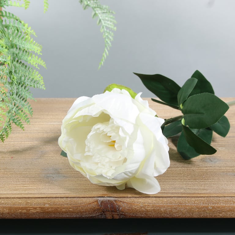 Ivory Arundel Garden Peony - White Blooming Floral Decor for Springtime Arrangements and Home Accents