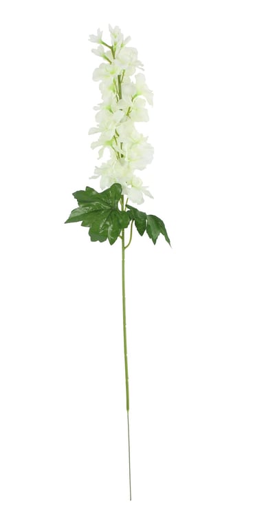 Ivory Arundel Garden Delphinium - Spring Blooming Perennial Plant Bulbs for Home Gardens