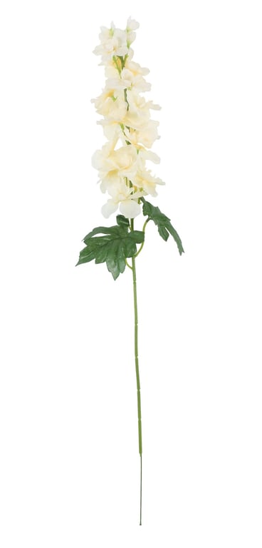 Cream Arundel Garden Delphinium - Vibrant Blue Perennial Flowers for Long-Lasting Beauty in Your Garden