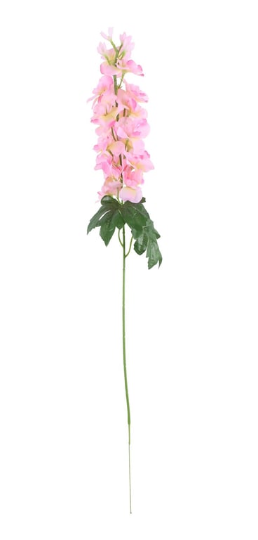Pink Arundel Garden Delphinium - Vibrant Floral Plant for Garden Landscaping and Decor