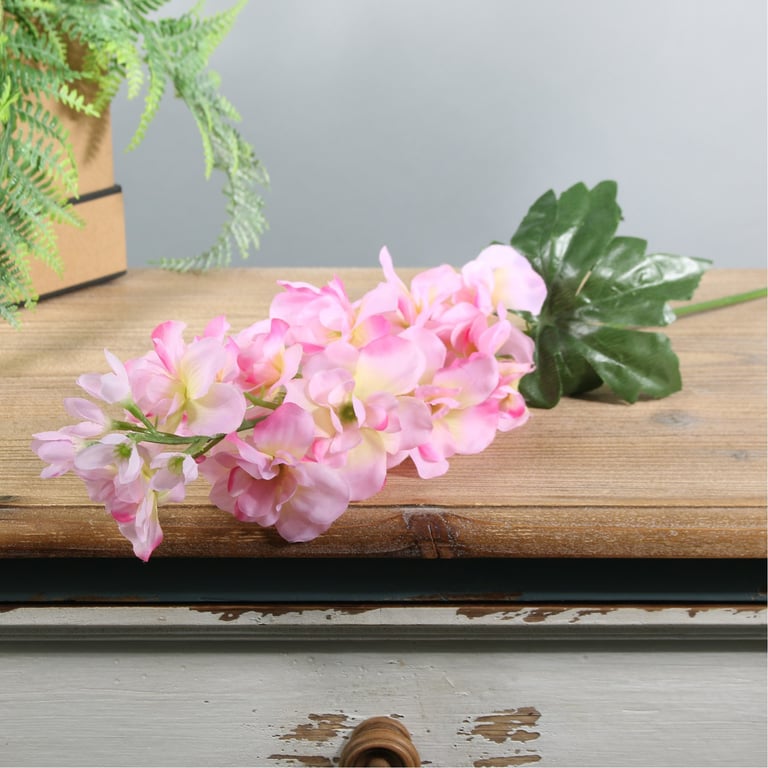 Pink Arundel Garden Delphinium - Vibrant Floral Plant for Garden Landscaping and Decor