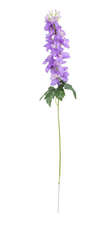 Lavender Purple Arundel Garden Delphinium - Perennial Flower Bulbs for a Vibrant Garden Display