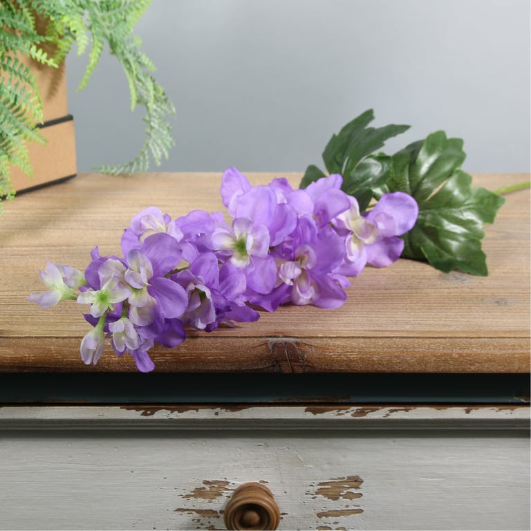 Lavender Purple Arundel Garden Delphinium - Perennial Flower Bulbs for a Vibrant Garden Display