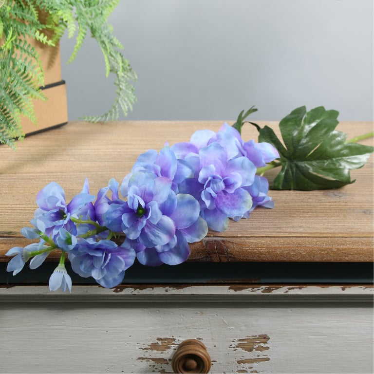 Blue Arundel Garden Delphinium - Dazzling Blue Perennials for Beautiful Flower Borders and Gardens