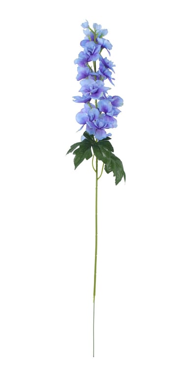 Blue Arundel Garden Delphinium - Dazzling Blue Perennials for Beautiful Flower Borders and Gardens