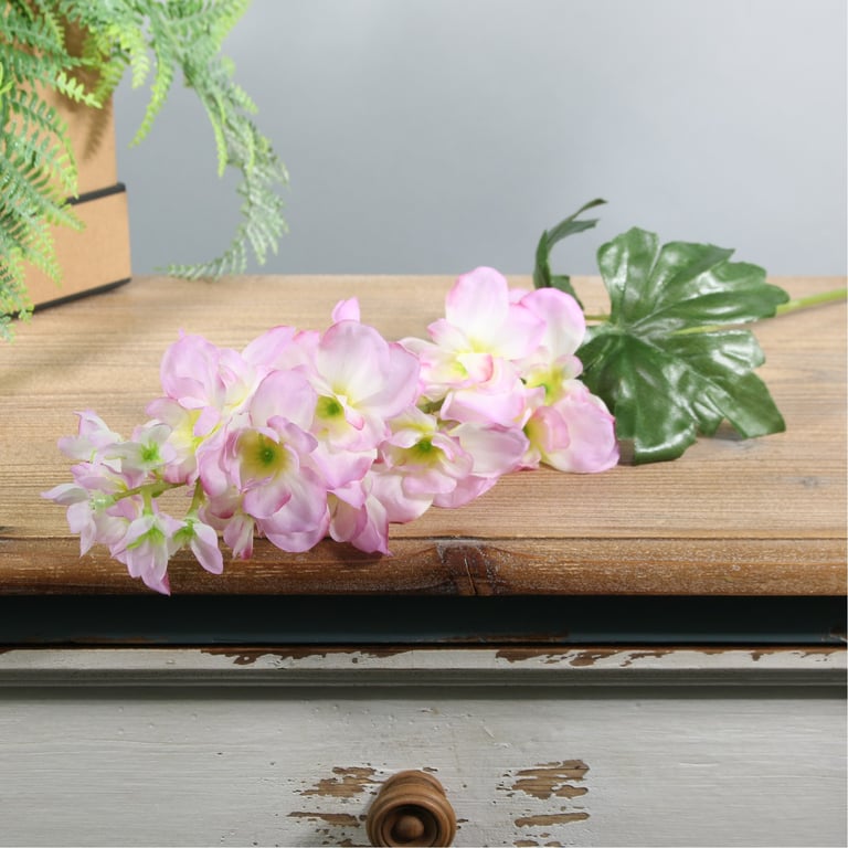 Cream Pink Arundel Series Delphinium Garden Plants - Perfect Home & Garden Decor