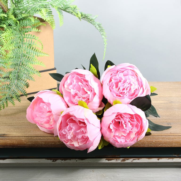 Pink Arundel Peony Bush - Vibrant Floral Plant for Outdoor Gardening and Decorations